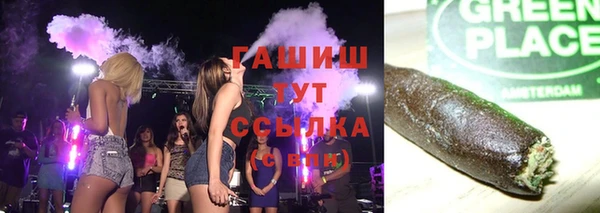 индика Богородск