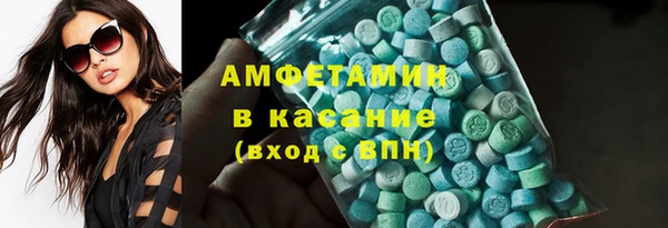 индика Богородск