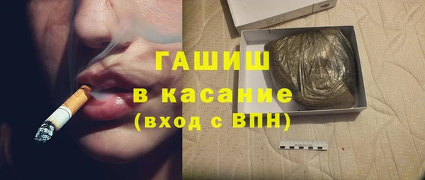 индика Богородск