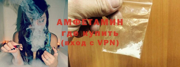индика Богородск