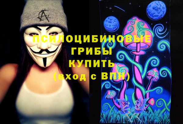 индика Богородск