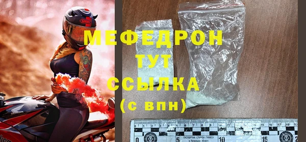 индика Богородск