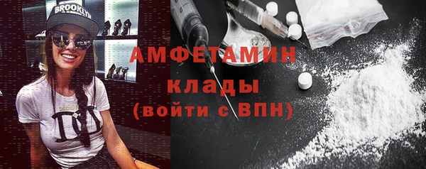 индика Богородск