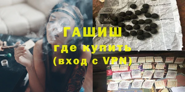 индика Богородск