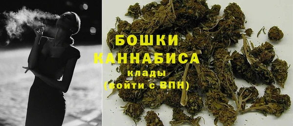 индика Богородск