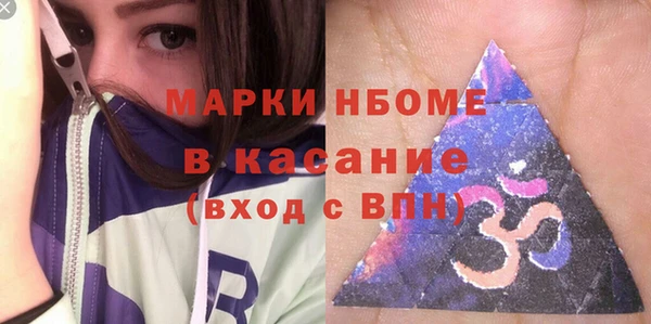 индика Богородск