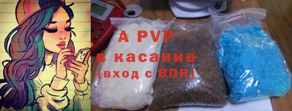 мдпв Богданович