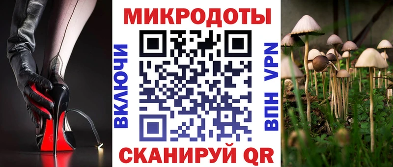 цена наркотик  Жуковский  MEGA сайт  Псилоцибиновые грибы прущие грибы 